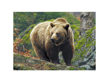 ����� ����� ����� � ����