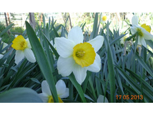 �������� 1