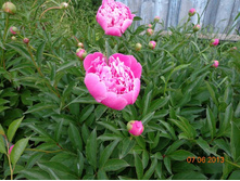 ����� ������� 1