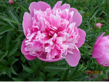 ����� ������� 2