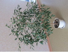 ����� ����.jpg