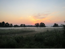 �������� ����.jpg