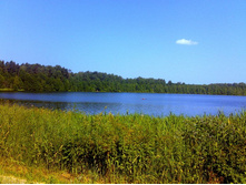 ����� ��������.jpg