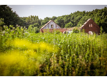 20130706-DSC01735.jpg