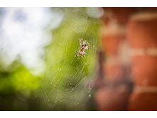 20130706-DSC01794.jpg