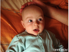 ��� ��������