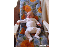 �������� ����