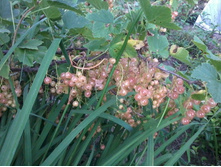 ����� ������. 2013