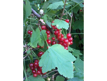 �����.��������� 2013