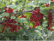 �����.��������� ����.2013