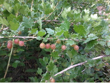 ��������� ԣ���� ������ ��������