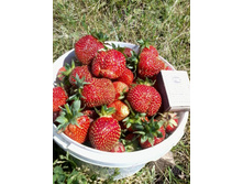 ��������_����