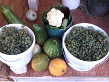 ������ 2012