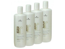 Schw. ������� �������-���������� � ����������� �������� 1000��.jpg