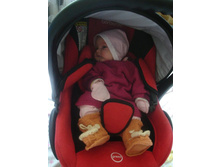 ������ �����������. ������������� �����.