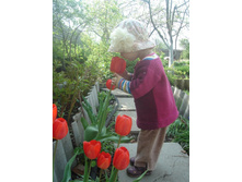 ������ 2-��������. � 2 ���� � ��������.