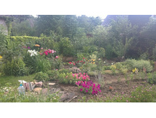 08072013305.JPG