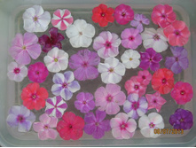 ������ ������� ������ ������