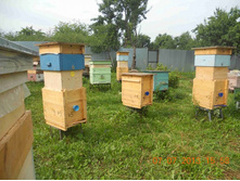 ������ � ������ ������� �����.