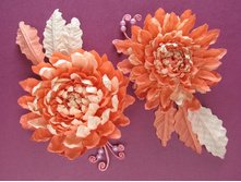 ���������� �� �����, ������ �������� � ������� �����