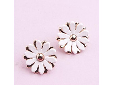 ������ ������, 119 ���..jpg