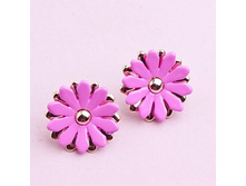 ������ ������, 119 ���..jpg