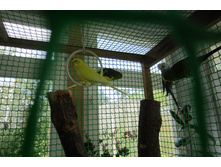 ����� 500 ���