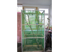 ������ 1500 ��� 