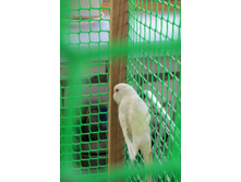 �������� 500 ���