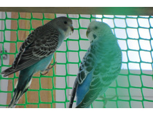 ������ � �����