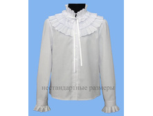 №302+ �����, ���� 561 ���