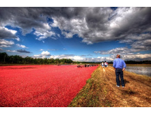 ������� ���� �� ������ � ���������� �������� (������)