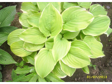 ����� \"Lakeside Cha Cha\"