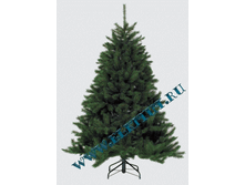 ���� ������ ��������� (Forest Frosted) 155 ��_4397 ���.gif