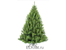 ����� ������� 215��_10641 ���.jpg