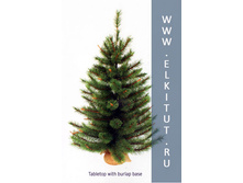 ������ ����� ��������� 95 �� � ������_1571 ���.jpg