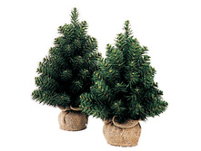 XTT202_���� ���� � �������H=48��_264,45 ���.jpg