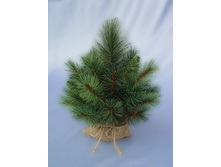 XTT208_���� ���� �������������� ����� � ������� 40��_273,48 ���.jpg