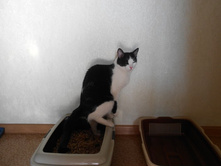 DSCN1202.JPG