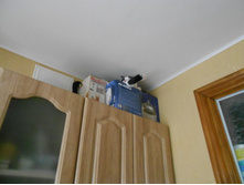 DSCN1172.JPG