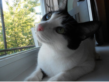 DSCN1199.JPG