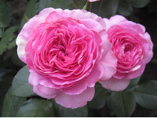 ��������� ���������.jpg