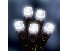 365036_��.�������� ��� ���� � ����� ��. 952 �� (����� ����)_870,64 ���.jpg