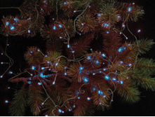 TLN208blue_����.��������� 5��100 ������, �������, 8 �������_309,60 ���.jpg