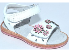 312-C11 �����.jpg