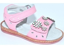 312-C11 ���..jpg