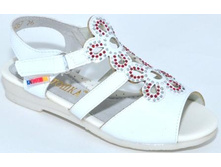 6067 �����.jpg