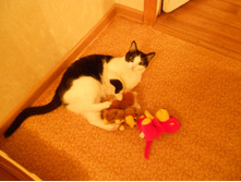 DSCN1230.JPG