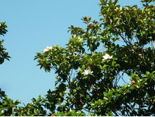 �������� � �����.JPG