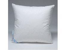 �������� ����.jpg